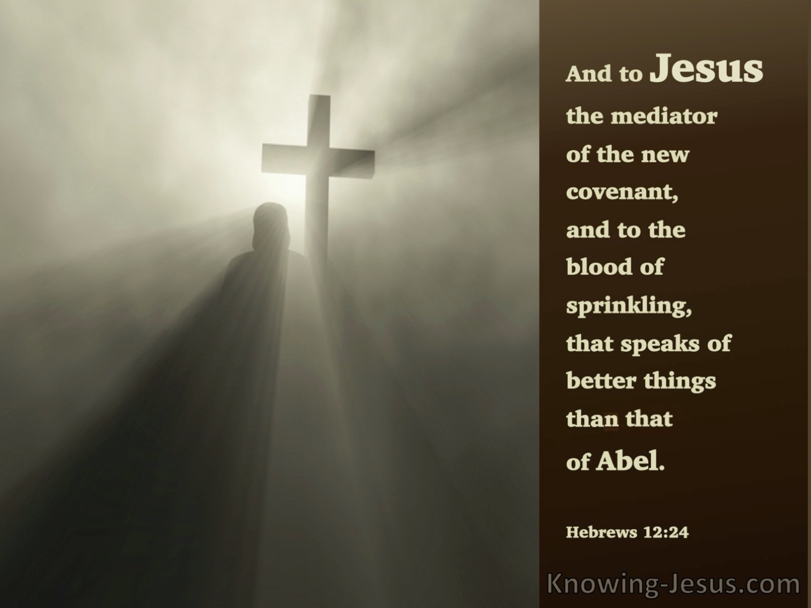 Hebrews 12:24 The Mediator Of A New Covenant (brown)